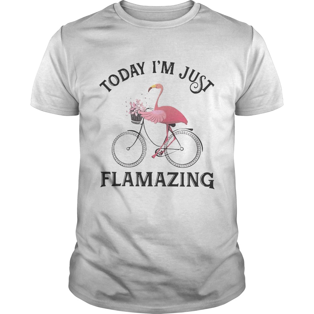 Flamingo today Im just flamazing Unisex