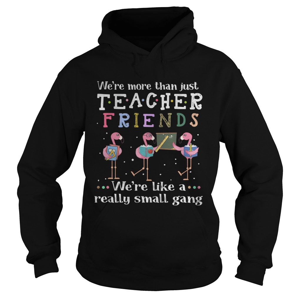 Flamingo were more than justteacher friends were like a really Hoodie