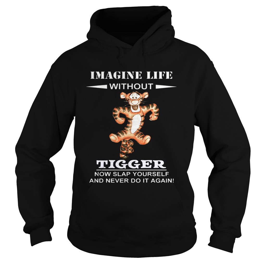 Image life without Tiger now slap yourself and never do it again Hoodie