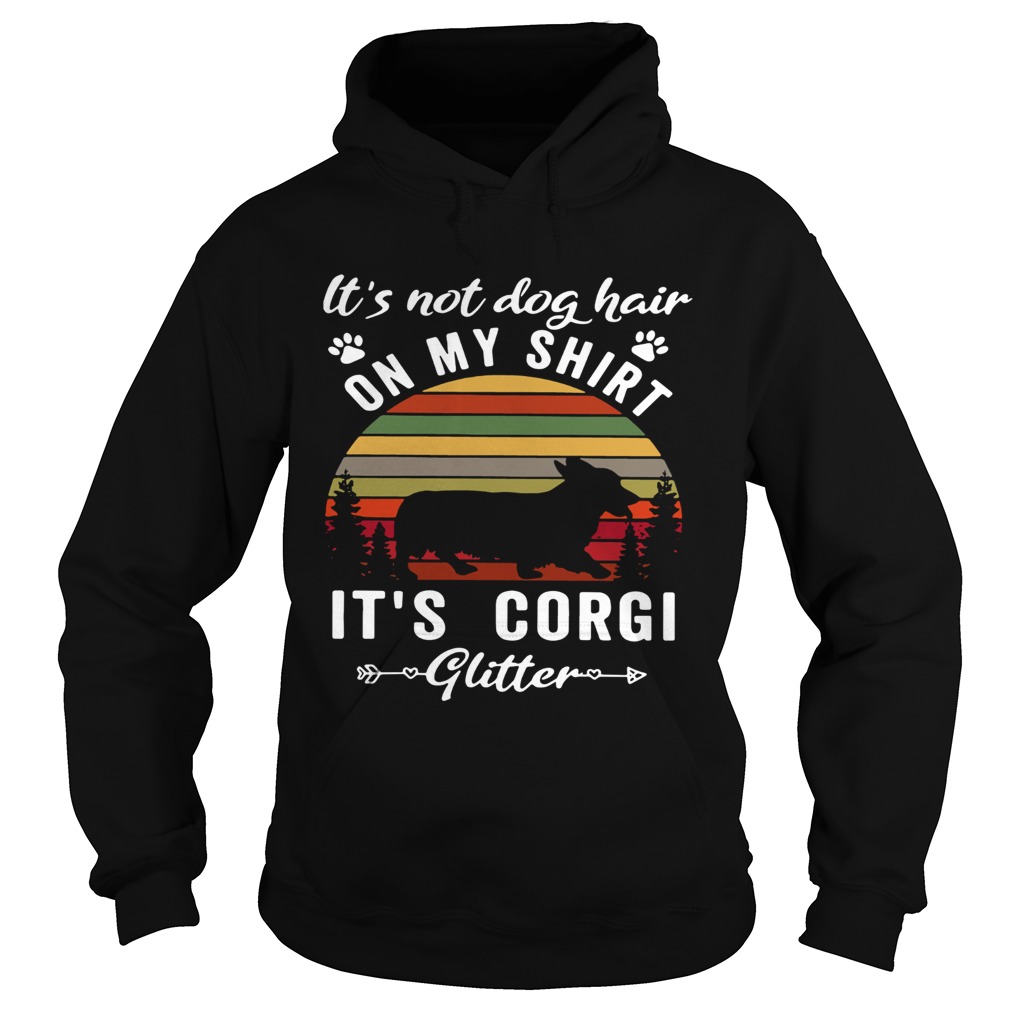 Its not dog hair on my its Corgi glitter sunset Hoodie