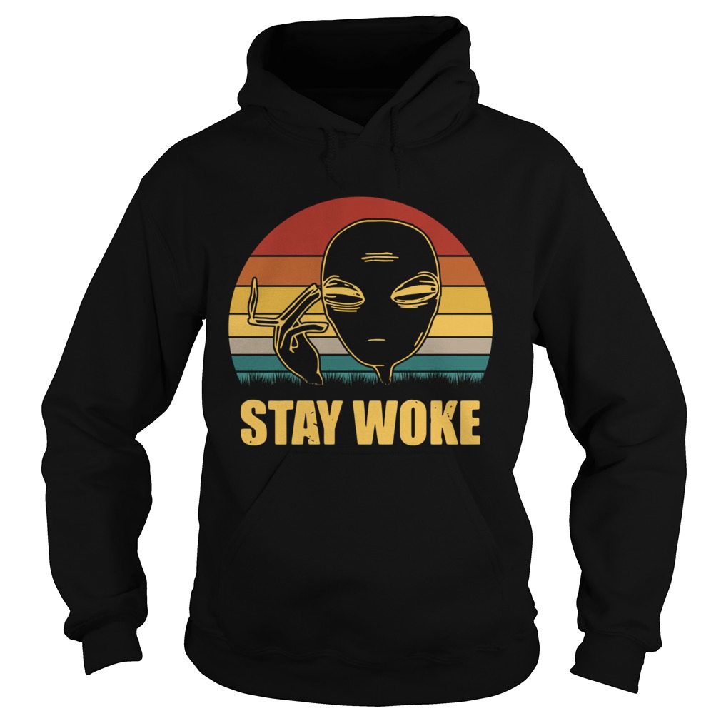 Alien smoke stay woke vintage Hoodie