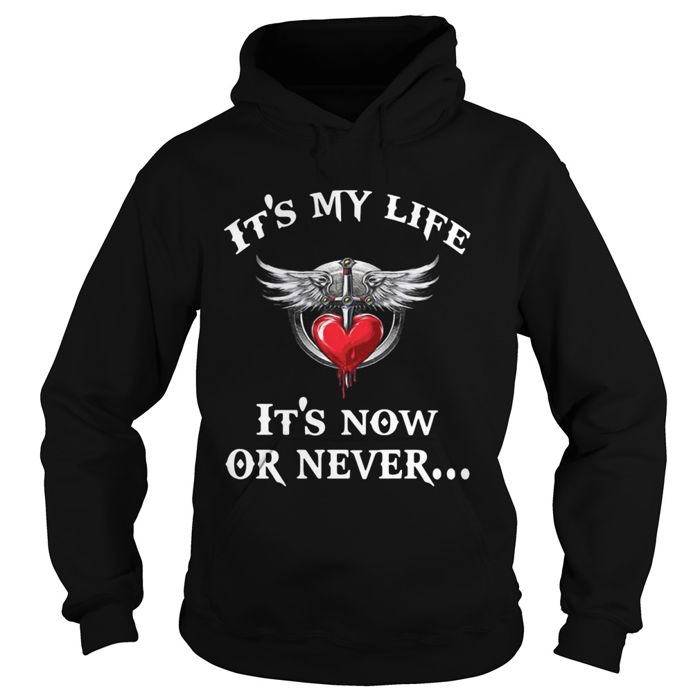 Bon Jovi its my life its now or never Hoodie