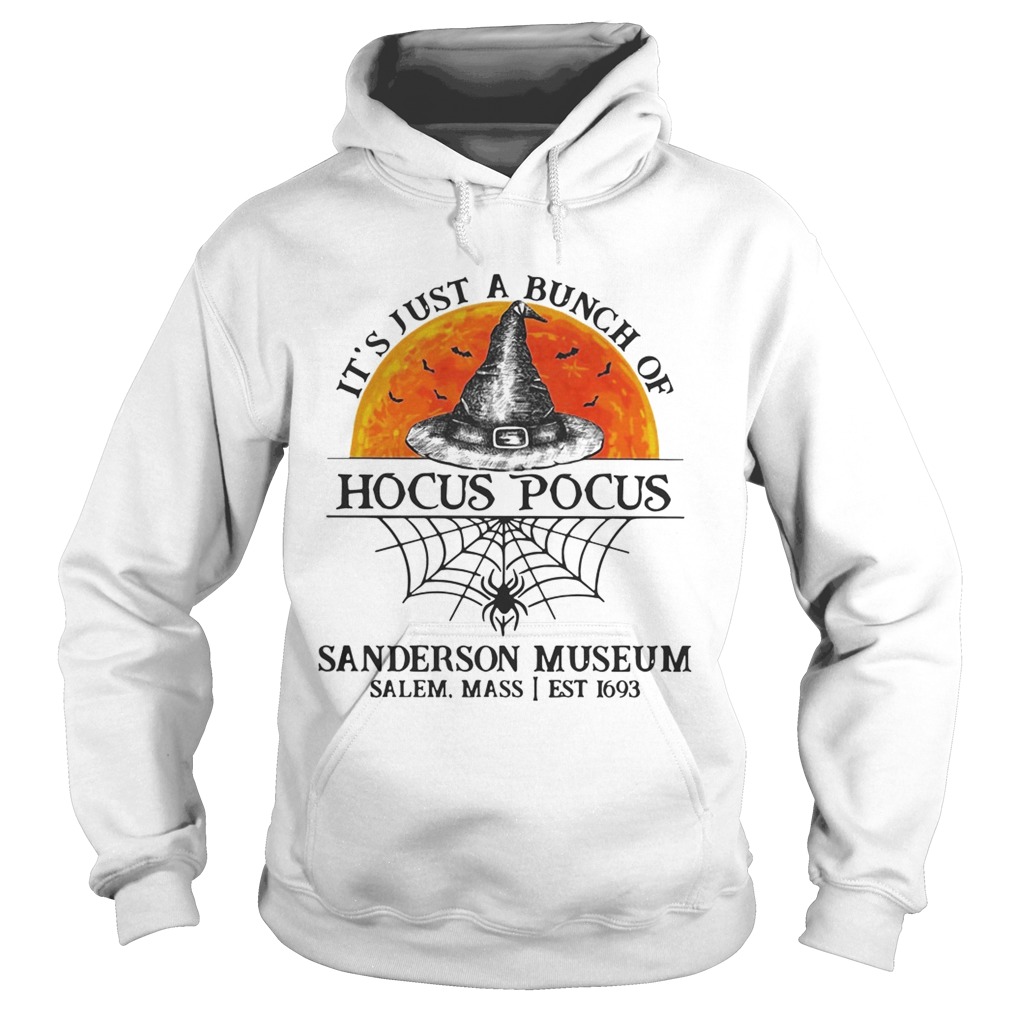 Its just a bunch of Hocus Pocus sanderson museum Hoodie