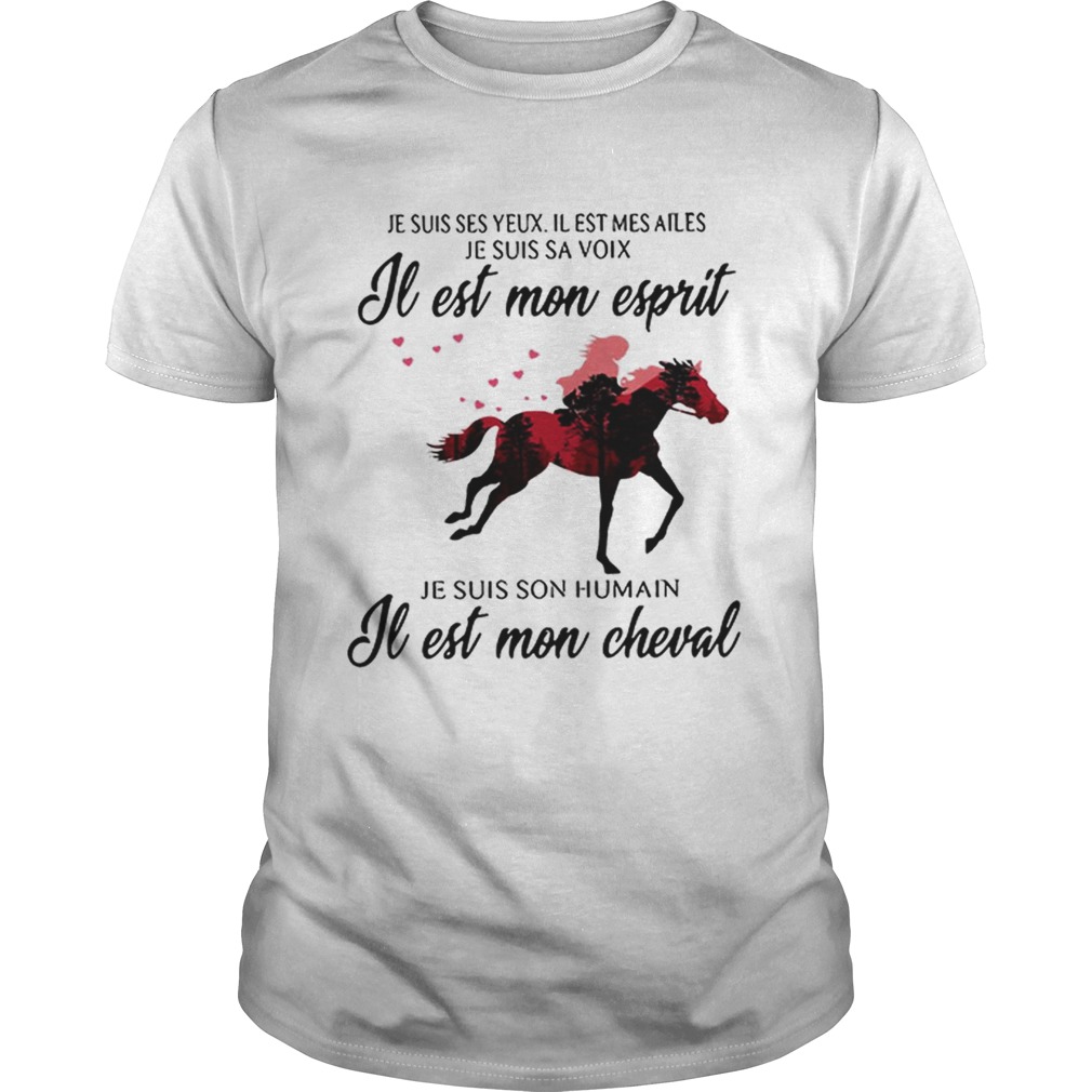 Premium Je Suis Ses Yeux Il Est Mes Ailes Je Suis Sa Je Est Mon Cheval tshirt