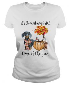 Dachshund pumpkin Its the most wonderful time of the year  Classic Ladies