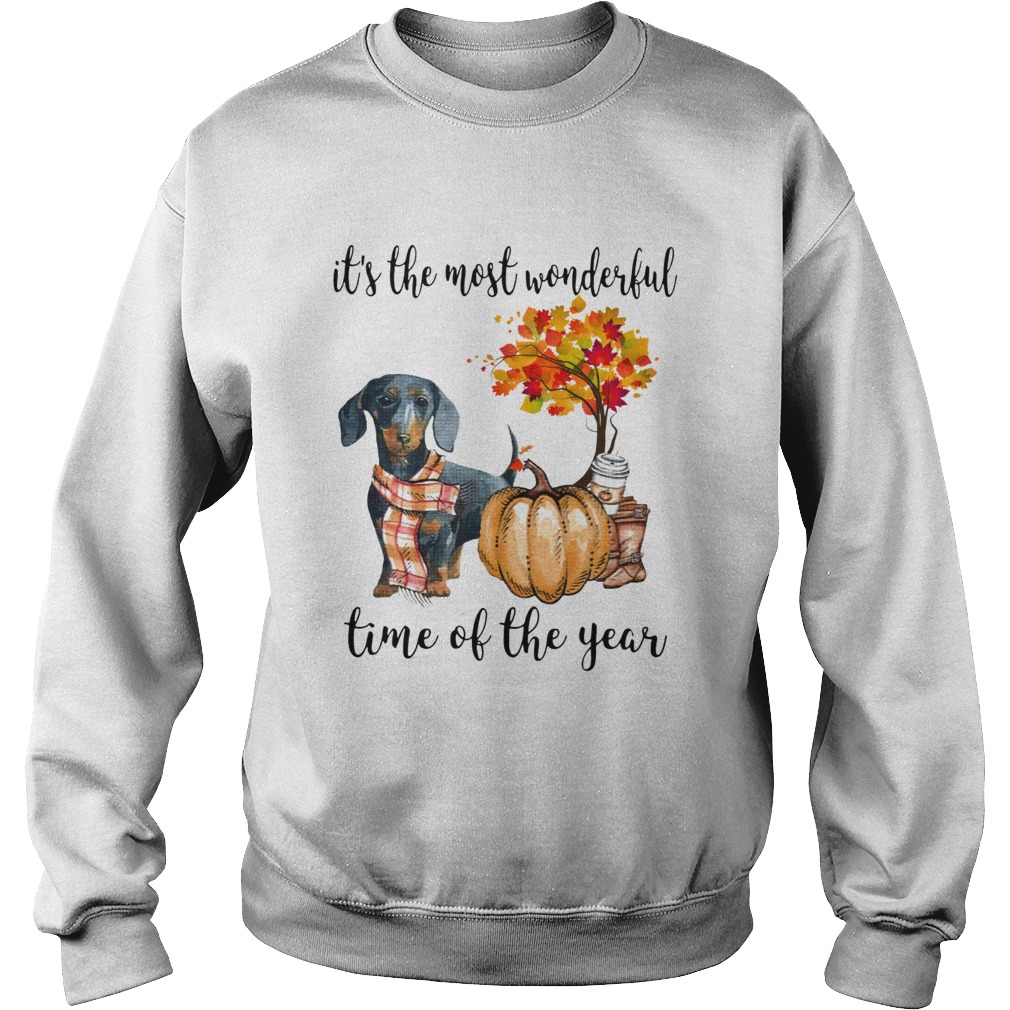 Dachshund pumpkin Its the most wonderful time of the year Sweatshirt
