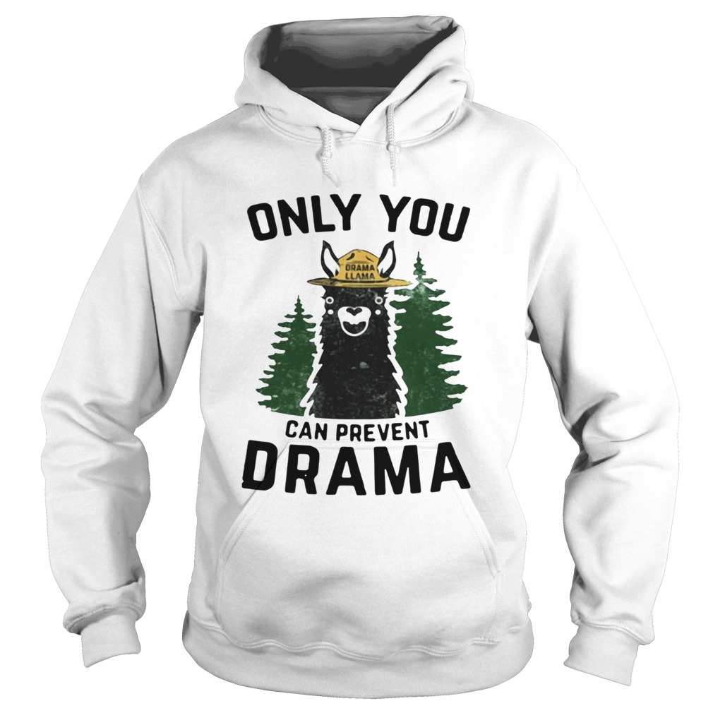 Grama Llama only you can prevent Drama Hoodie