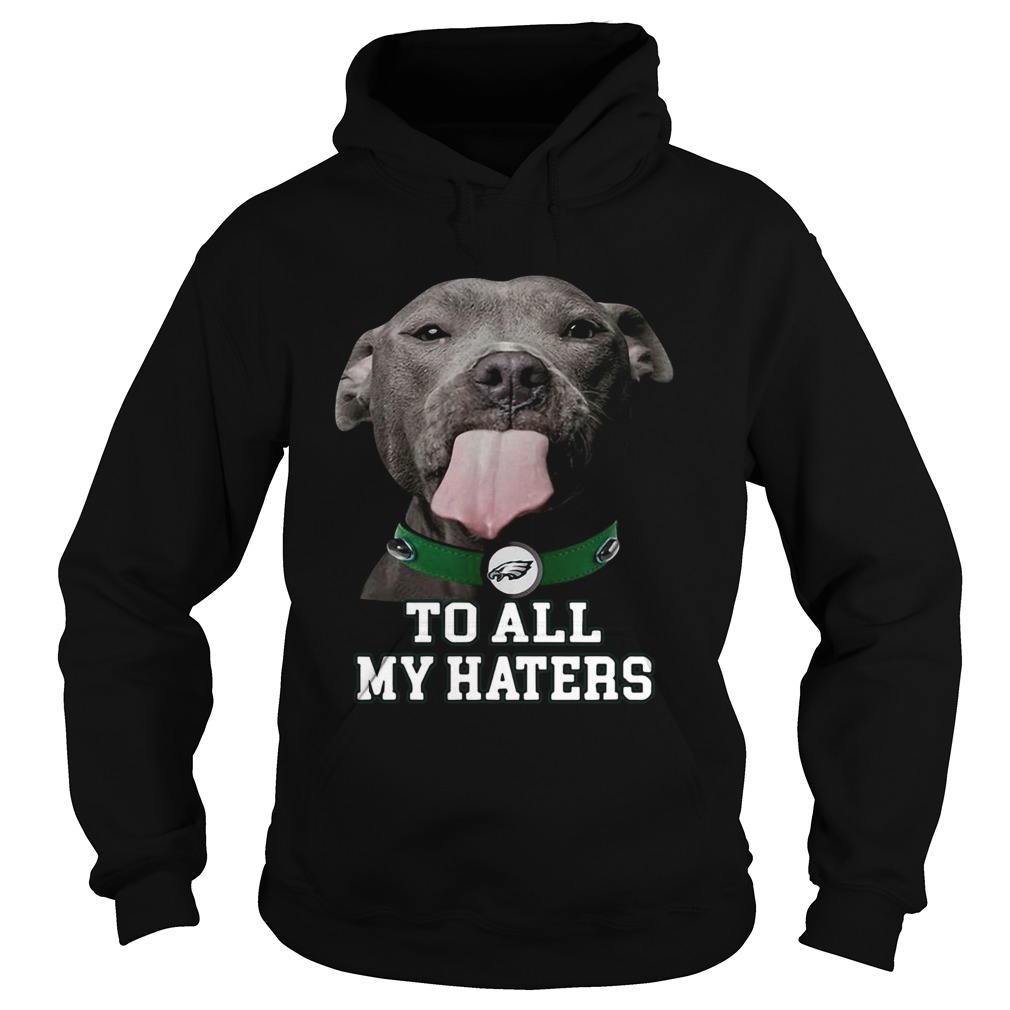 Pitbull Philadelphia Eagles to all my haters Hoodie