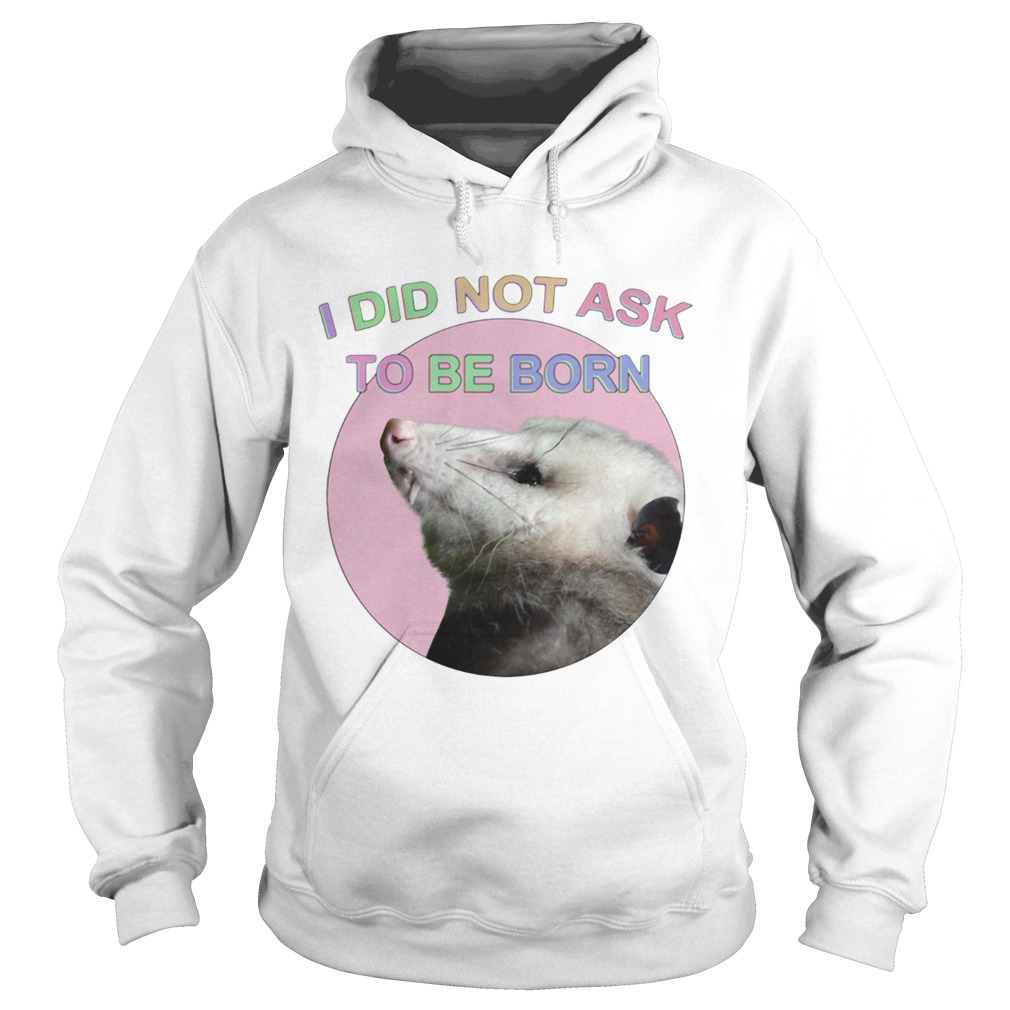 Raccoon I did not ask to be born Hoodie