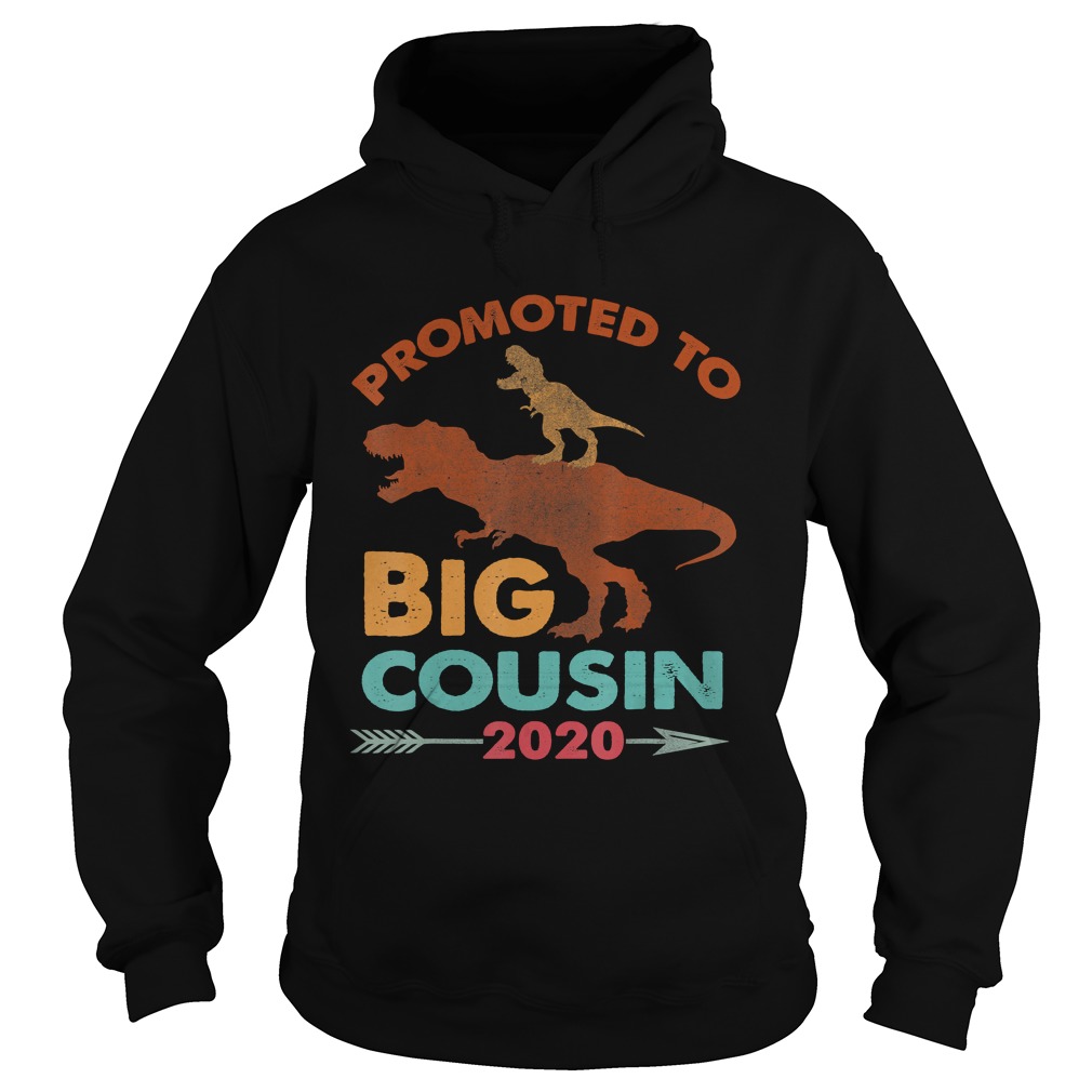 Trex Riding DinosaurVintage Promoted To Big Cousin 2020 TShirt Hoodie