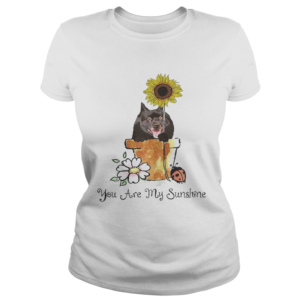 You Are My Sunshine Dog Lover Sunflower Ts Classic Ladies