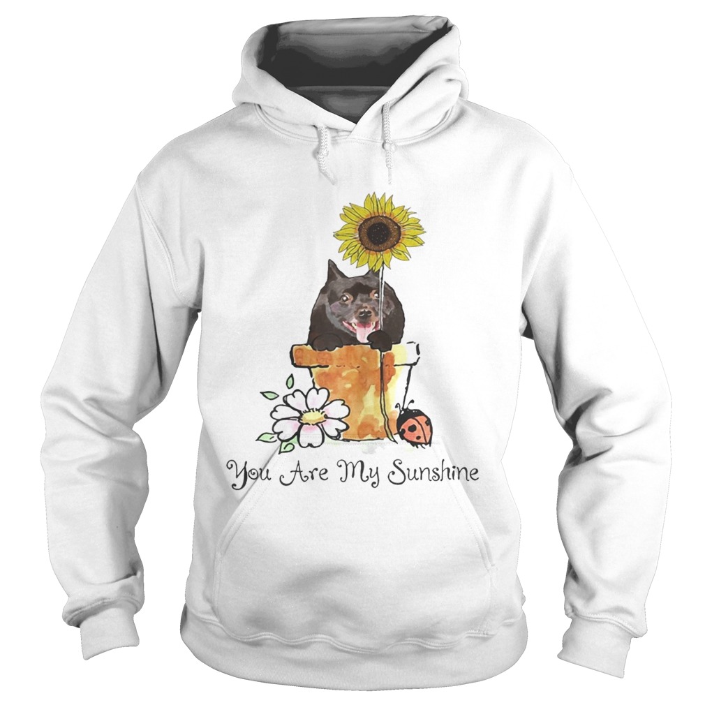 You Are My Sunshine Dog Lover Sunflower Ts Hoodie