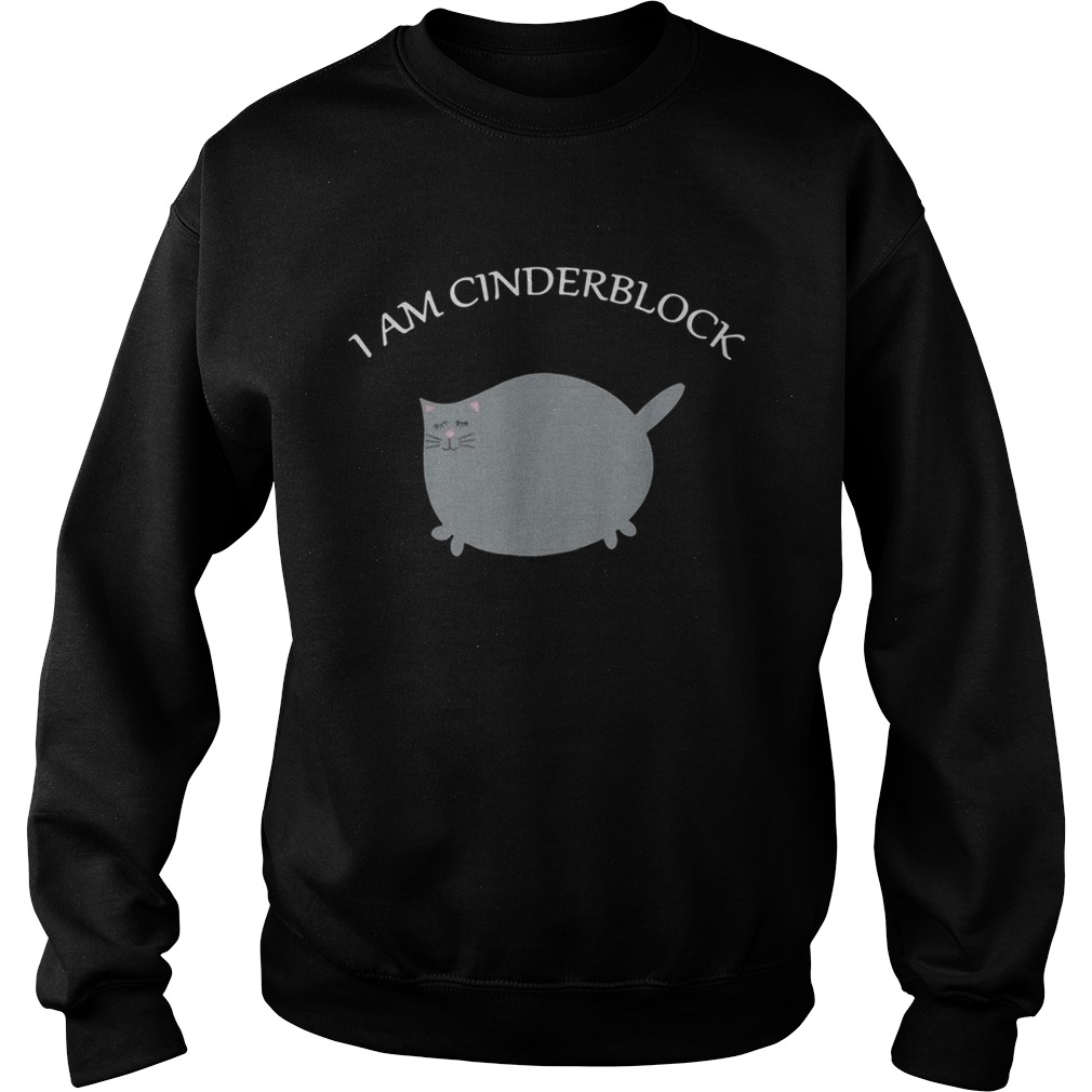 Cat I am Cinderblock Sweatshirt