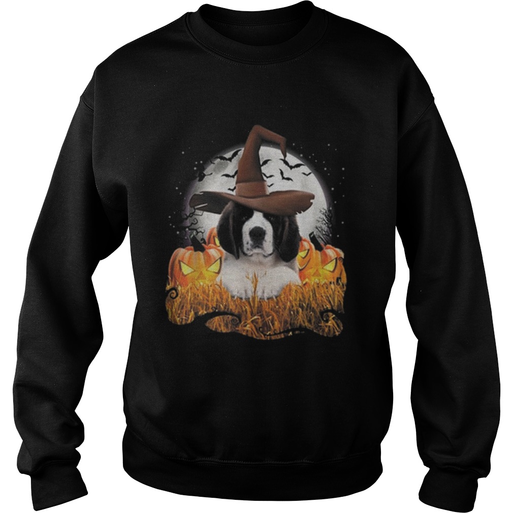 Cute Saint Bernard dog witch on Halloween pumpkin LlMlTED EDlTlON Sweatshirt