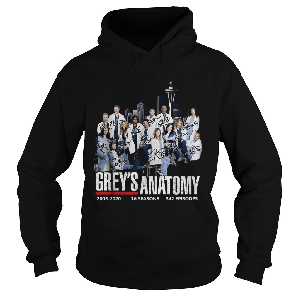 Greys anatomy 2005 2020 16 seasons 342 episodes signature Hoodie