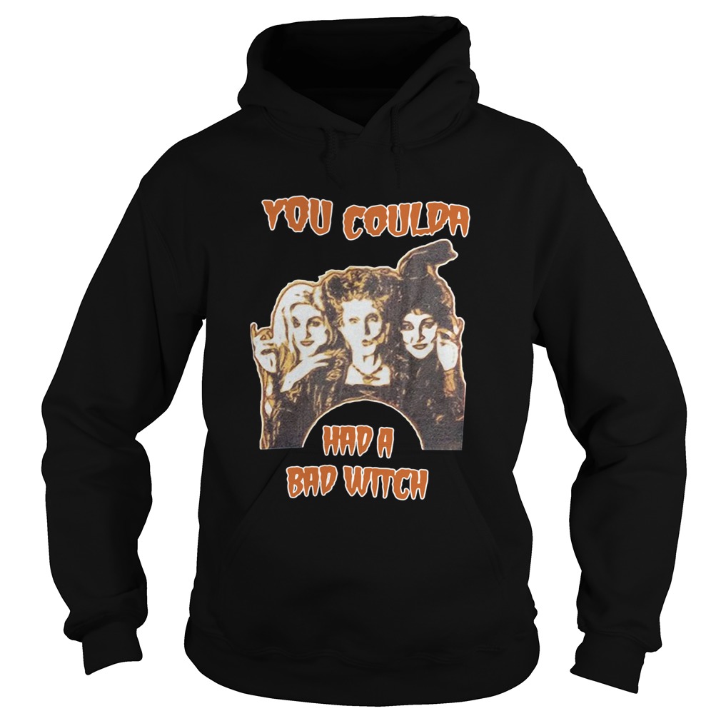 Hocus Pocus you coulda had a bad witch Hoodie