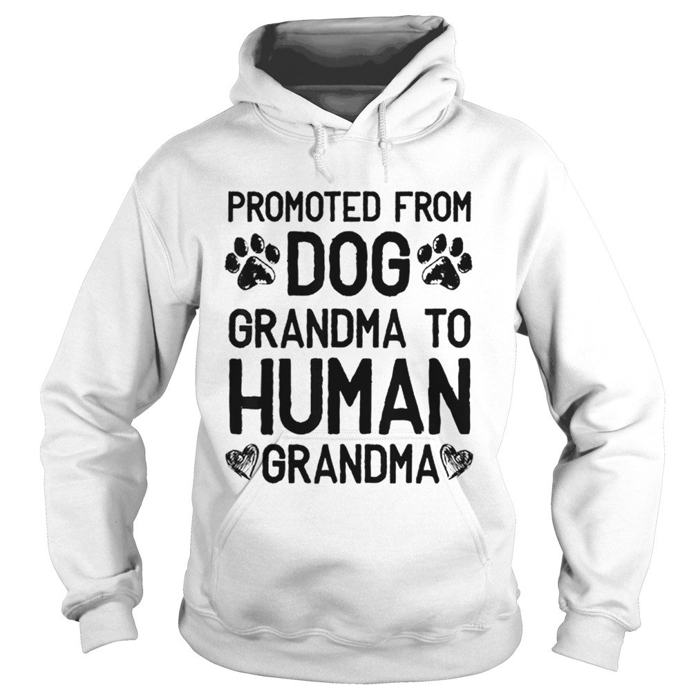 Premium Promoted From Dog grandma To Human grandma Hoodie