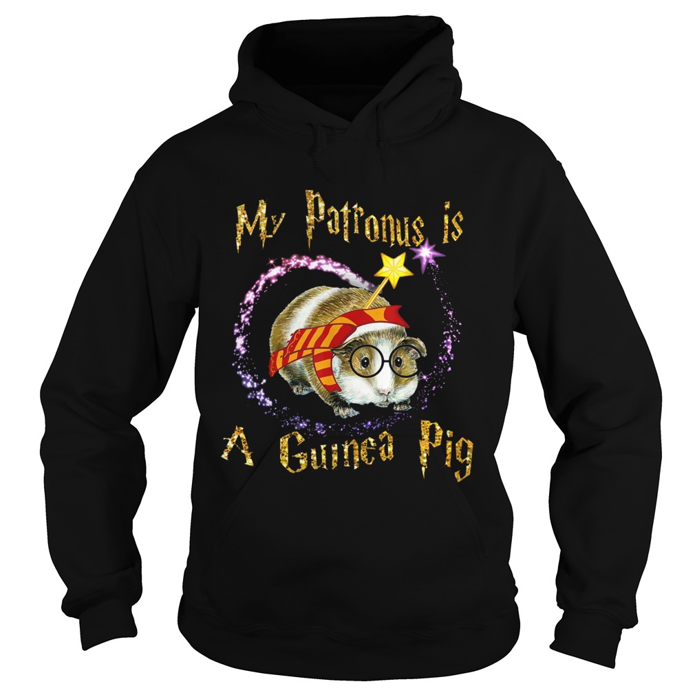 1572853684My Patronus Is A Guinea Pig Hoodie