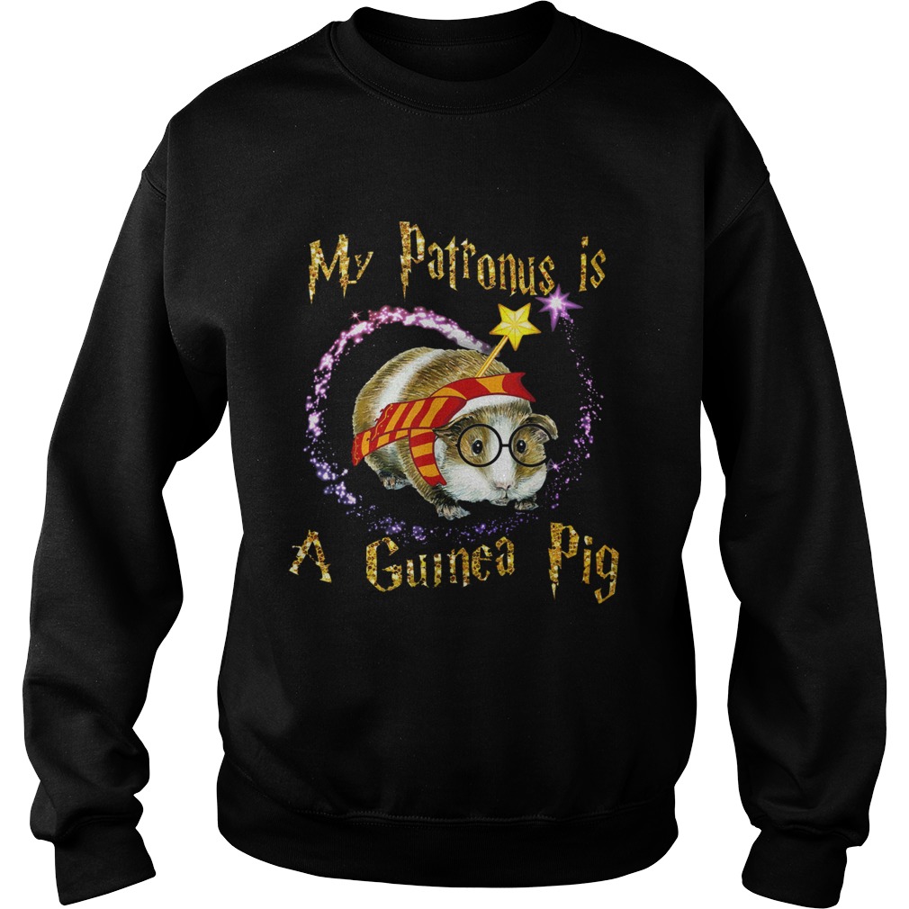 1572853684My Patronus Is A Guinea Pig Sweatshirt