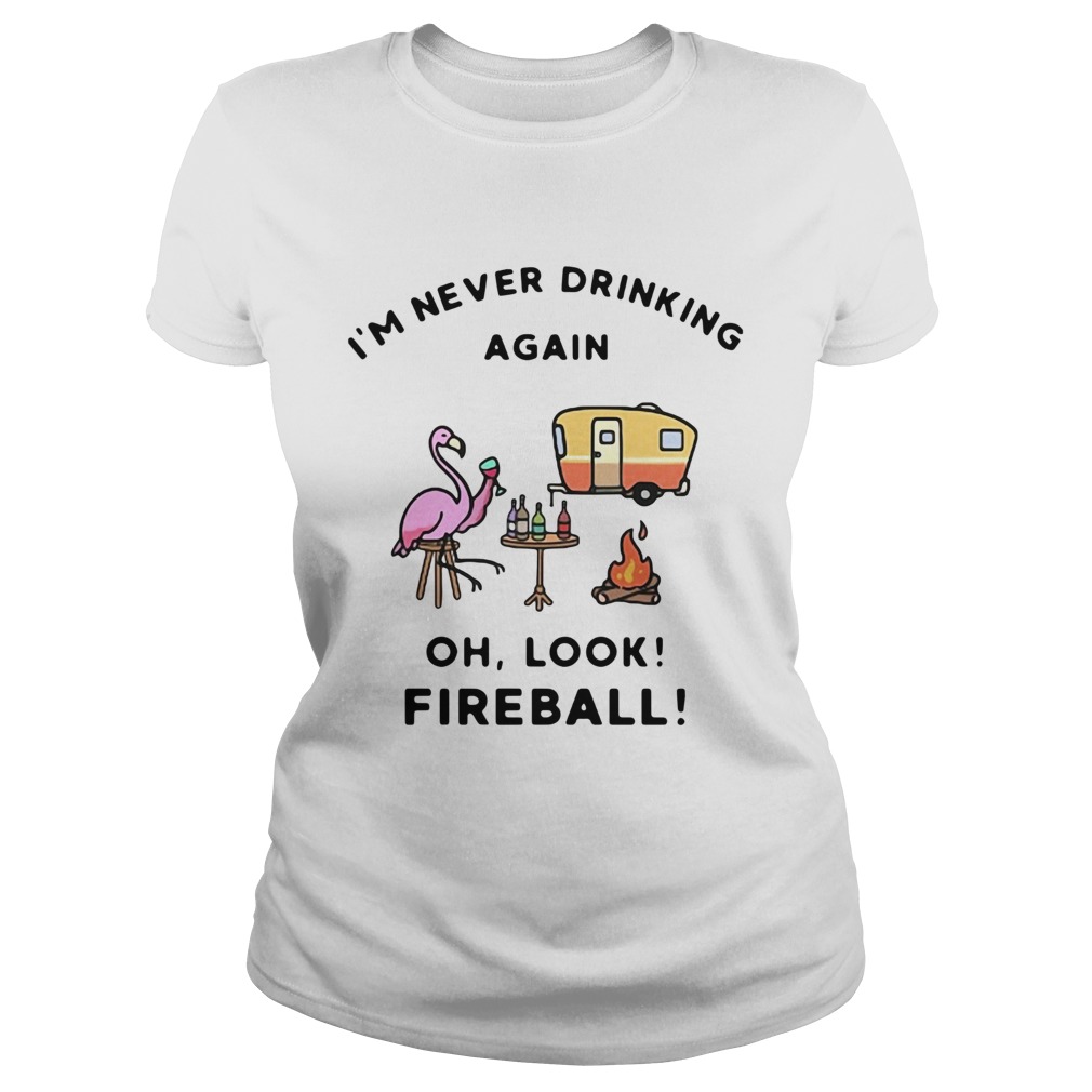 1572856312Flamingos Iâ€™m Never Drinking Again Oh Look Fireball Classic Ladies