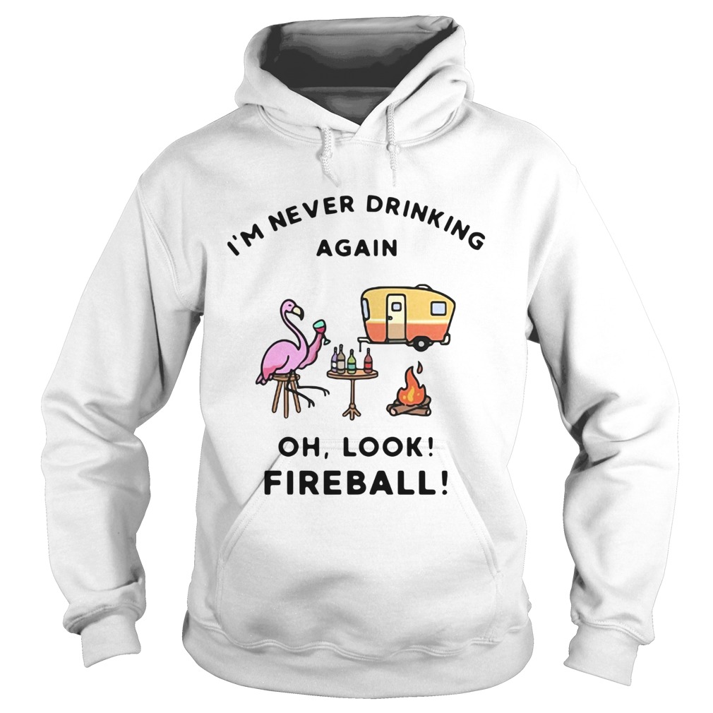 1572856312Flamingos Iâ€™m Never Drinking Again Oh Look Fireball Hoodie