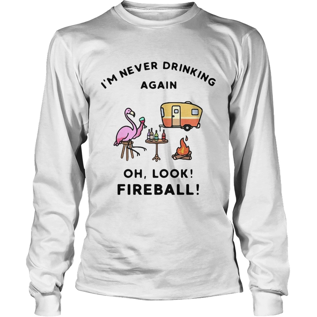1572856312Flamingos Iâ€™m Never Drinking Again Oh Look Fireball LongSleeve