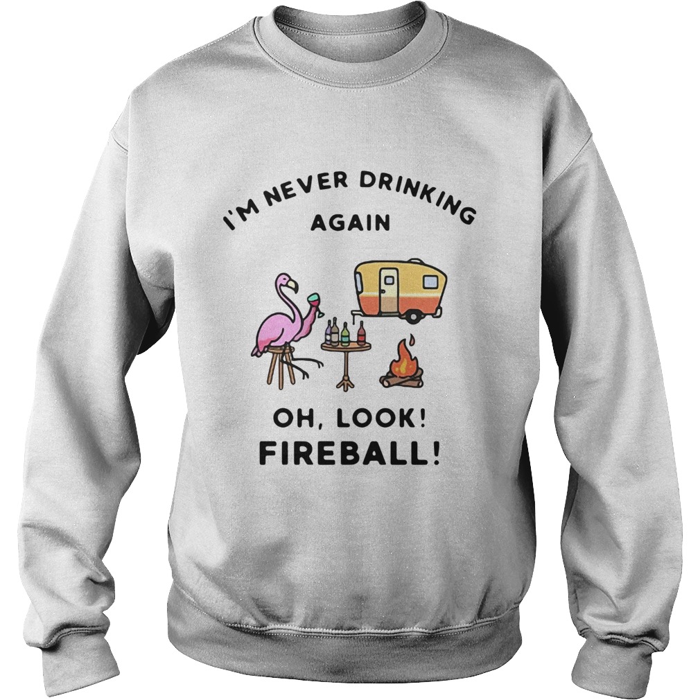 1572856312Flamingos Iâ€™m Never Drinking Again Oh Look Fireball Sweatshirt