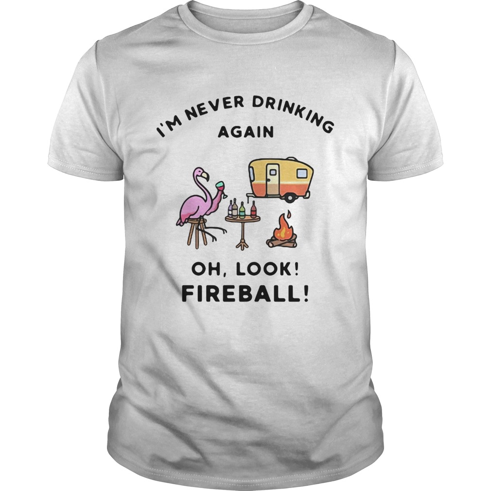 Flamingos I’m Never Drinking Again Oh Look Fireball shirt