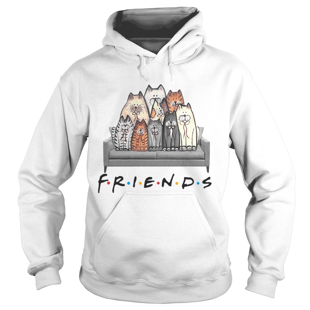 1572861345Friends Cat In Sofa Hoodie