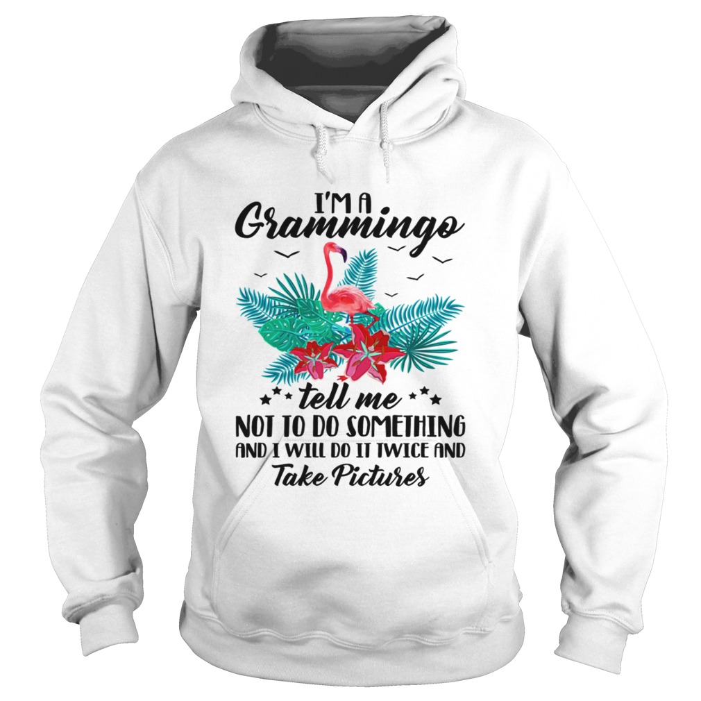 1572864117Iâ€™m A Grammingo Tell Me Not To Do Something And I Will Do It Twice And Take Pictures Hoodie