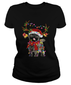 Cairn Terriers Gorgeous Reindeer Crewneck  Classic Ladies