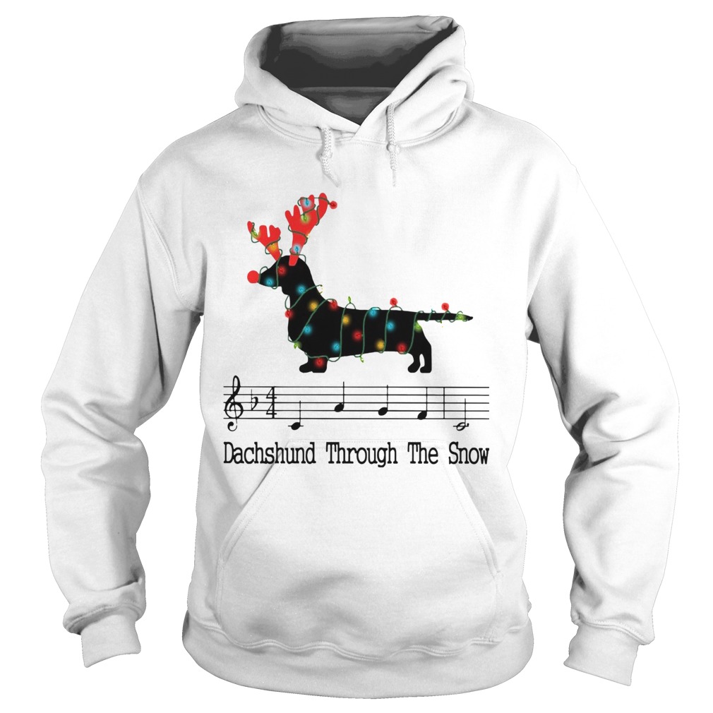 Dachshund Through The Snow Christmas Lights Hoodie