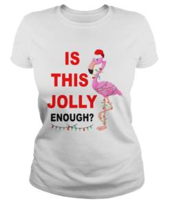 Flamingo Christmas is this Jolly enough  Classic Ladies