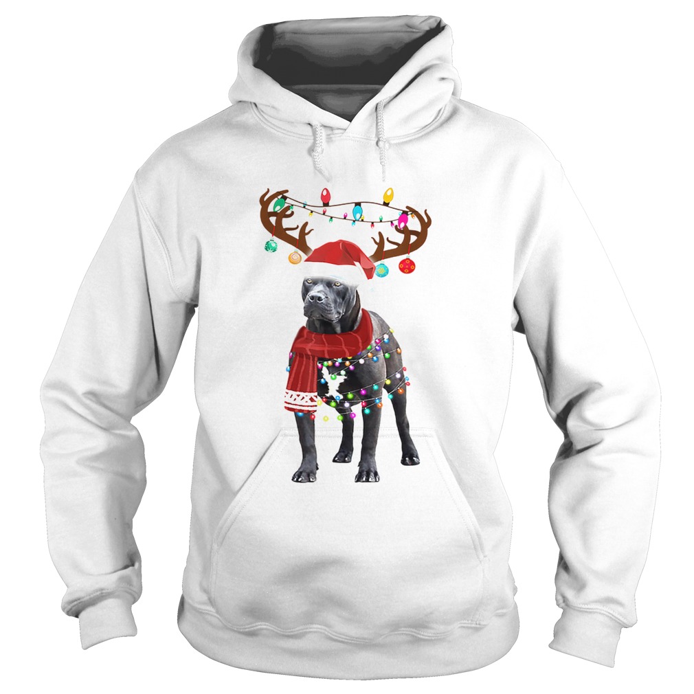 Nice Cute Pitbull Christmas Lights Reindeer Pajamas Hoodie