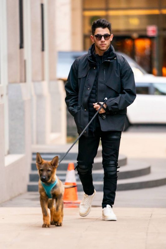 NICK JONAS ONE UPS EMILY RATAJKOWSKI WITH HIS DOG WALKING STYLE