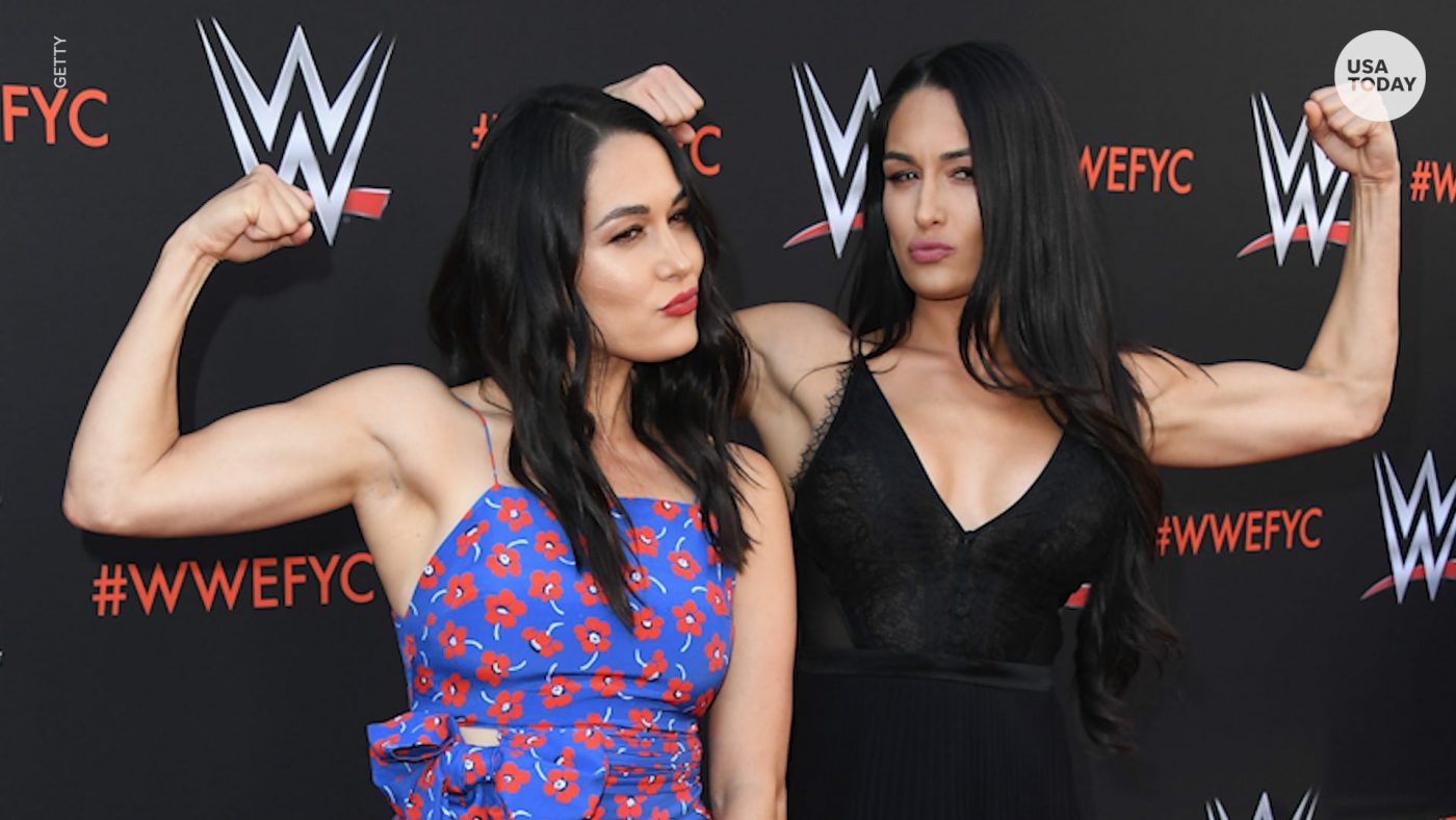 Nikki and Brie Bella are pregnant, due within two weeks of each other: 'We both are shocked'