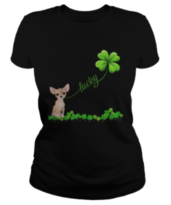 Irish Lucky with chihuahua lover  Classic Ladies