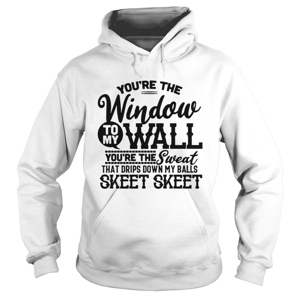 Youre The Window To My Wall Youre The Sweat That Drips Down My Balls Hoodie