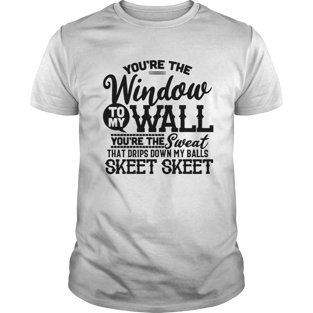 Youre The Window To My Wall Youre The Sweat That Drips Down My Balls shirt