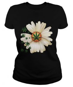 Osteospermum And Weed  Classic Ladies