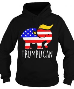 Trumplican Elephant Trump 2020  Hoodie