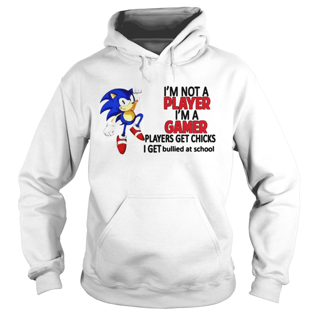 Sonic Im Not A Player Im A Gamer Players Get Chicks I Get Bullied At School Hoodie