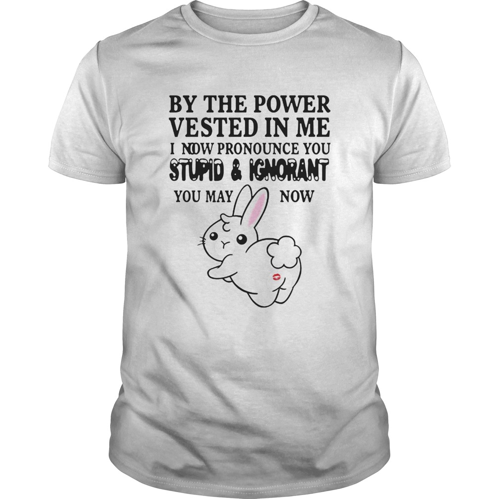 Salme eksil Erkende The Power Vested In Me I Now Pronounce You Stupid And Ignorant shirt - T  Shirt Classic
