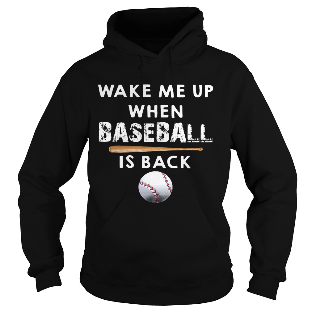 Wake Me Up When Baseball Is Back Hoodie