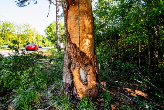 NFL quarterback and Montgomery native Tarvaris Jackson dies in auto wreck