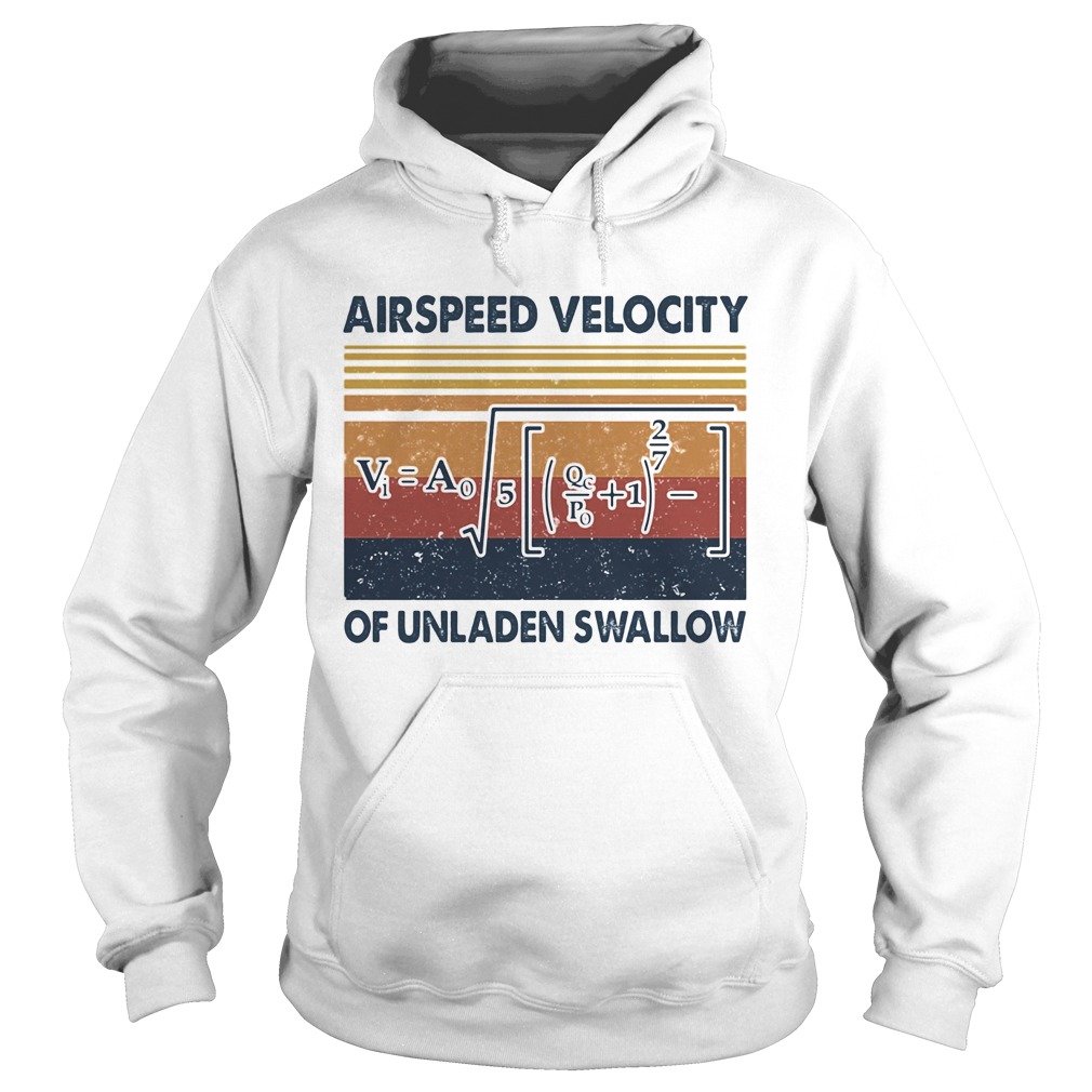Airspeed velocity of unladen swallow vintage  Hoodie