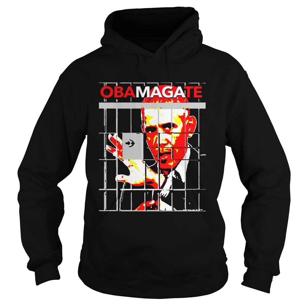 Barack Obama Gate  Hoodie