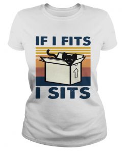 Cat In Box If I Fits I Sits Vintage  Classic Ladies