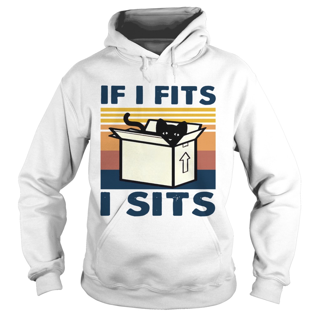 Cat In Box If I Fits I Sits Vintage Hoodie