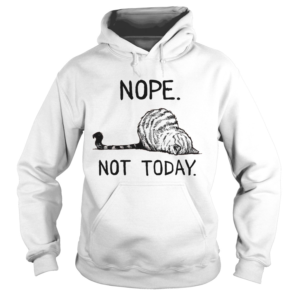 Cat Nope Not Today Hoodie